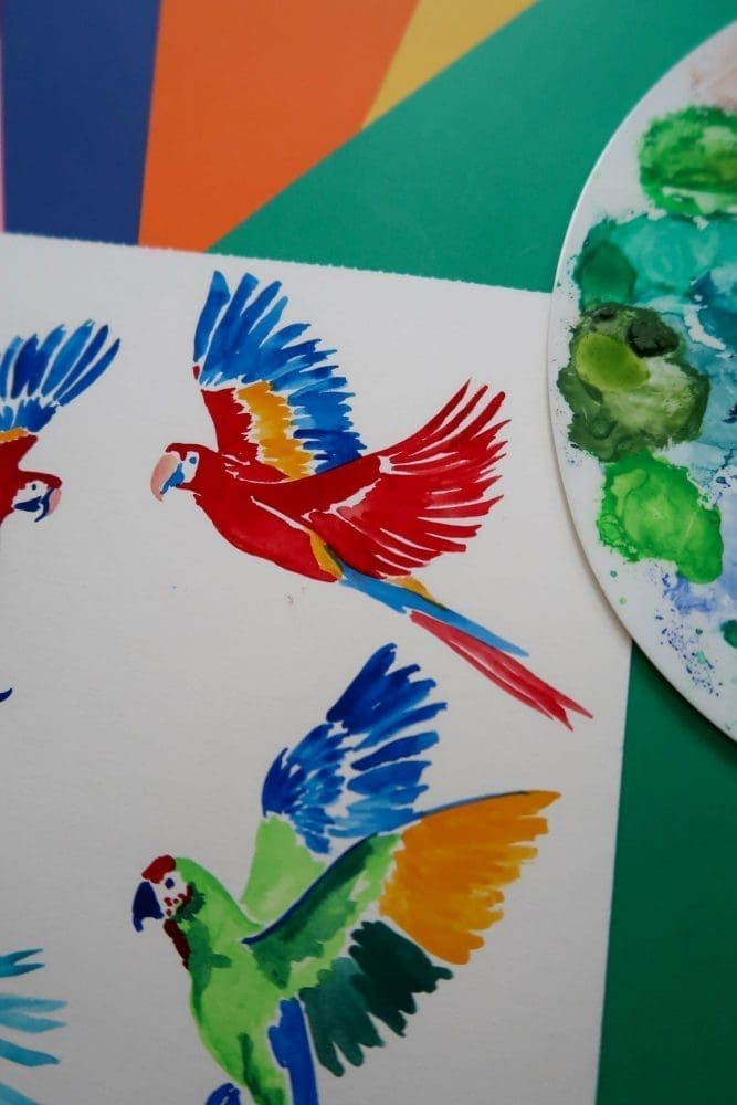 A propos -  - Carole Rampinetta - R CouleursLatines Amazonia Dessins scaled