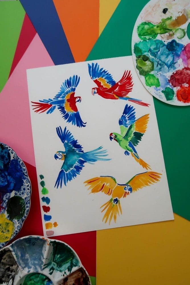 A propos -  - Carole Rampinetta - R CouleursLatines Amazonia Dessins scaled